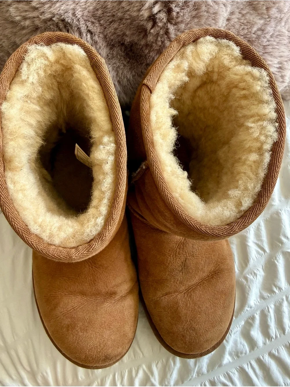 UGG Chestnut Suede Shearling-Lined Winter Boots - Women